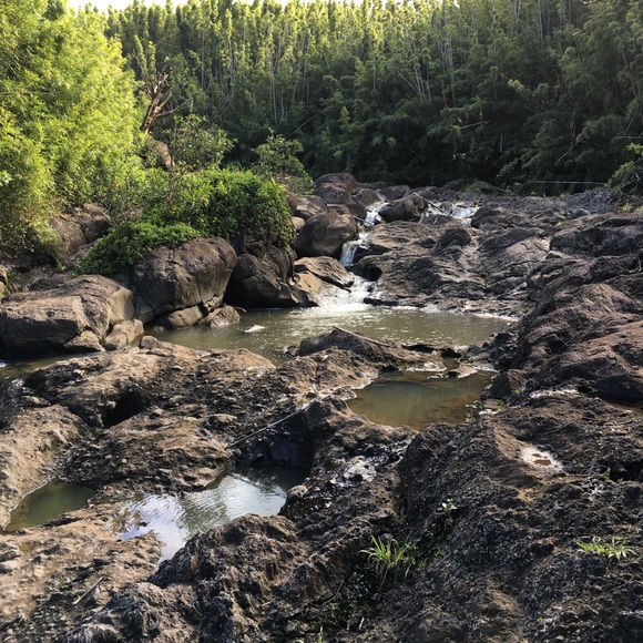 Meet your Posher, Jassmin - Picture 2 of 5